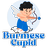 icon Burmese Cupid(Burma Cupid) 1.0.7