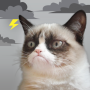 icon Grumpy Cat Weather (Huysuz kedi hava)