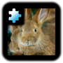 icon Rabbit(Yapboz: tavşan)
