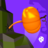 icon Pokey Ball(Pokey Ball
) 1.13.0