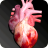 icon Circulatory System in 3D Anatomy(Dolaşım Sistemi 3D Anatomi) 1.85