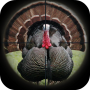 icon Turkey Hunting Calls (Türkiye Avcılık Aramalar)