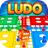 icon The Ludo Fun(Birader Eğlence Çok Oyunculu Game) 1.11