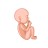 icon Pregnant Run 3D(Hamile 3D Koşusu mu?
) 0.6