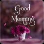 icon Everyday Good Morning Wishes(Her Gün Günaydın Dilekleri)