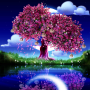 icon Cherry Blossom Live Wallpaper (Kiraz Çiçeği Canlı Duvar Kağıdı)