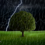 icon Thunderstorm Live Wallpaper (Fırtına Canlı Duvar Kağıdı)