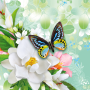 icon Butterflies Live Wallpaper(Kelebekler Canlı Duvar Kağıdı)