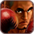 icon Pro 3D Boxing(Süper Boks: Şehir Savaşçısı) 2.0.2