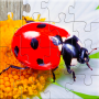 icon Insect Puzzles()