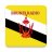 icon Brunei Radio(Brunei Radyo İstasyonları) 8.0.0