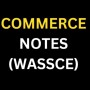 icon Commerce Notes ( WASSCE ) (Ticaret Notları ( WASSCE ))