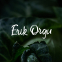 icon Erik Orgu