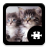 icon Cats & Kittens Puzzle(Kediler ve Yavru Bulmaca) 1.5.1