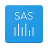 icon Analytics(SAS Görsel Analitik) 2022.12.0