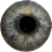 icon Eye Diagnosis(Göz teşhisi) 1.4.7