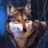 icon Wolf Jigsaw Puzzles(Kurt yapboz bulmacalar) 2.12.2