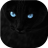 icon Black Cats Live Wallpaper(Kara kediler Canlı Duvar Kağıdı) 5.5