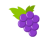icon Catcher Grapes(Üzüm toplamak) 2.01