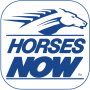icon Horses Now (Atlar Şimdi)
