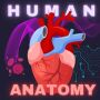 icon Human Anatomy E Theories (İnsan Anatomisi E Teorileri
)