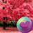 icon Pretty Pink Color HD Wallpapers(Oldukça Pembe Renkli HD Duvar Kağıdı) 2.28.28