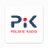 icon Radio PiK(Polskie Radyo PiK) 2.0.3