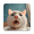 icon Meowing cat sounds(Miyavlayan Kedi Sesleri Zil Sesleri) 82.0