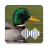 icon Duck Calls(Ördek avı çağrıları
) 2.0