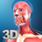 icon My Muscle Anatomy 2.6