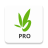 icon Bamboo Pro(Pro Melon Playground Hi-TV Drama için) 2.2.8