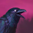icon Grim Soul(Grim Soul: Dark Survival RPG) 6.7.0