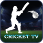 icon Live Cricket TV(Canlı Kriket TV Yıldızı HD Spor
)
