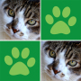 icon Cats Memory Match Game (Kediler Hafıza Maç Oyunu)