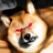 icon Backrooms Buff Doge(Arka Oda Buff Doge Horror
) 1.2