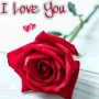 icon Love Flowers(Aşk Romantik Çiçekler GIF)