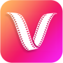 icon VidexVideo Downloader(video downloader
)