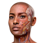icon Complete Anatomy 2024 (Tam Anatomi 2024)