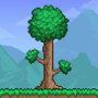 icon Terraria()