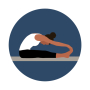 icon Bend: Stretching & Flexibility ()
