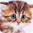 icon 7Fon Cute Animals(Sevimli Hayvan Duvar Kağıtları 4K) 5.8.04