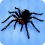 icon Spider()