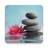 icon 2.10.0