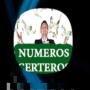 icon Numeros Certeros(Doğru Numaralar)