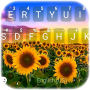 icon Sunflower Field(Ayçiçeği Alan Klavye Arka Planı
)