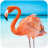 icon The Flamingo(Flamingo
) 1.1.1