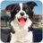 icon Pet Shelter Simulator(Pet Shelter Sim: Animal Rescue
) 1.0.1