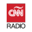 icon AM 950(CNN Radyo Arjantin
) 1.1.1