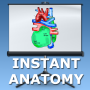 icon Anatomy Lectures(Anatomi Dersleri - kalp)