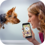 icon Dog Language Translator(Köpek Dili Tercüman Simülatörü - Pet ile Konuş
)